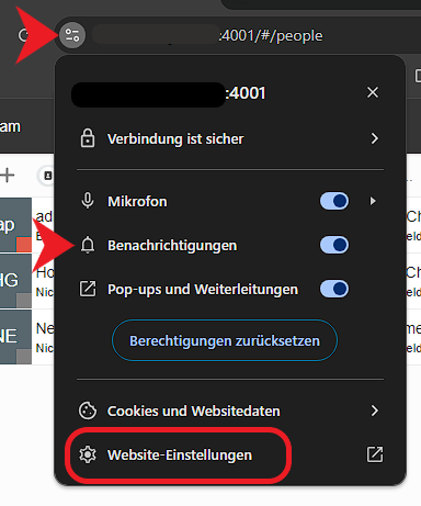 Adresszeile im Browser: Einstellungen für diese Website wählen