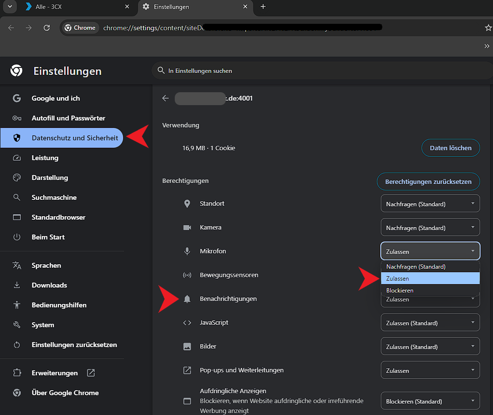 Einstellungen im Browser: Datenschutz und Sicherheit, hier können Sie alle Freigaben sehen. Aktivieren Sie "Zulassen"